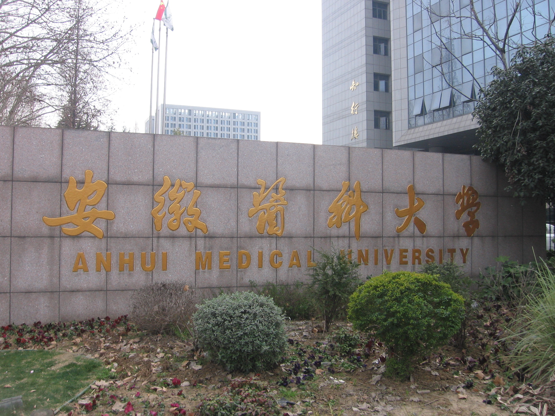 Anhui Medical University